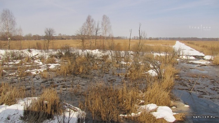 Чернобыльская зона отчуждения