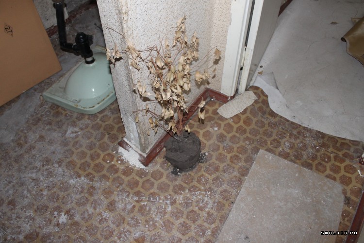 Кемпинг Изумруд, Свердловская область