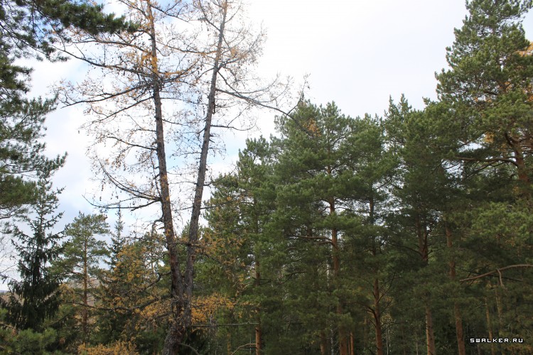 Кемпинг Изумруд, Свердловская область Кемпинг Изумруд, Свердловская область