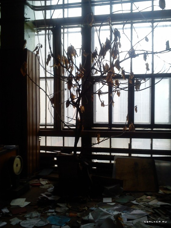 ЗиЛ сегодня