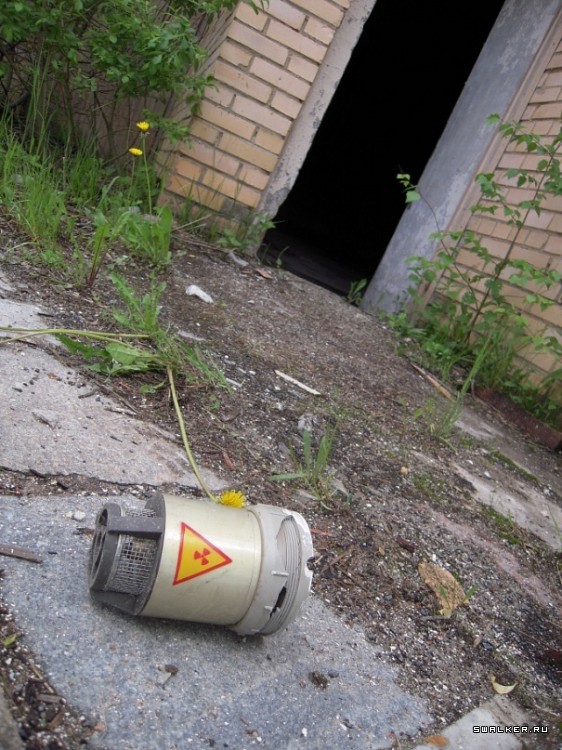 Маштабный заброшенный пионерлагерь