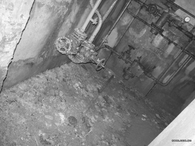 Маштабный заброшенный пионерлагерь