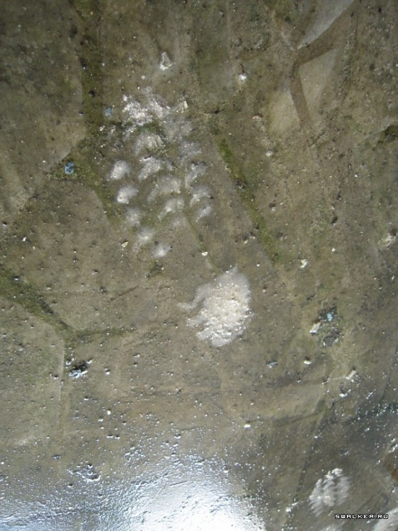 Маштабный заброшенный пионерлагерь