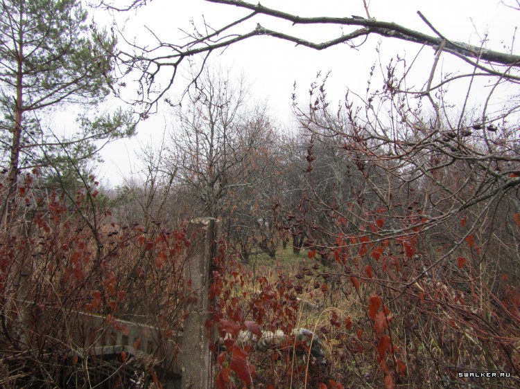 Почти брошенное железнодорожное депо, Московская область