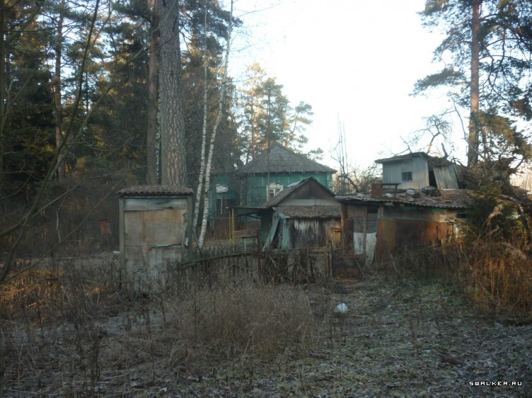 Сказочный лагерь Сказочный лагерь