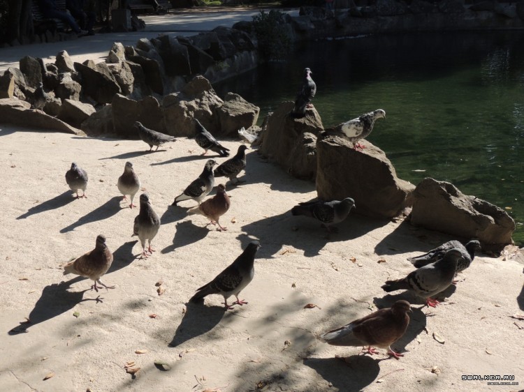 Крым, Россия (Октябрь 2014)