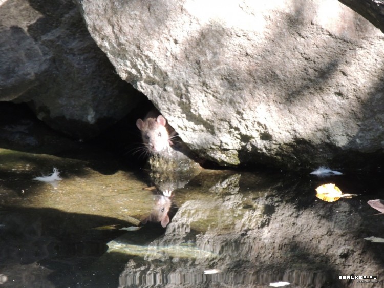 Крым, Россия (Октябрь 2014)