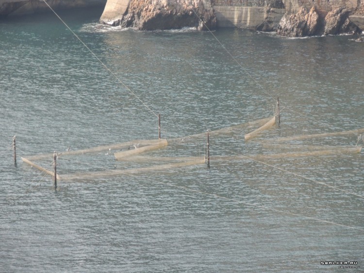 Крым, Россия (Октябрь 2014)