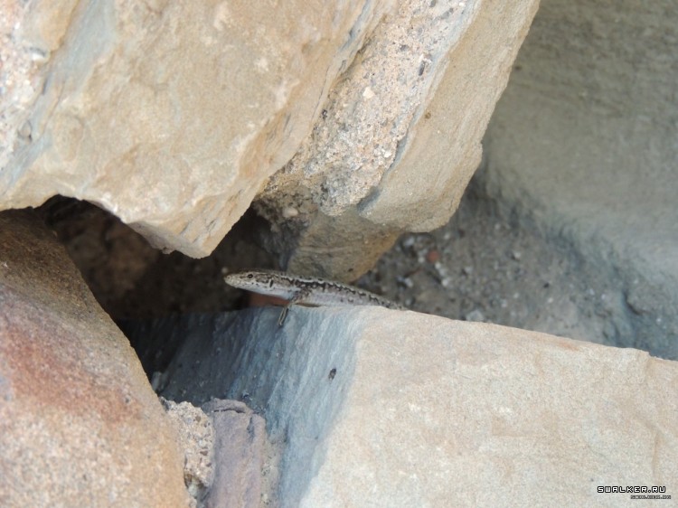 Крым, Россия (Октябрь 2014)