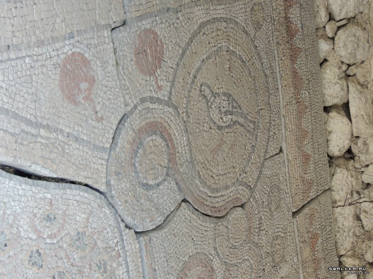 Крым, Россия (Октябрь 2014)