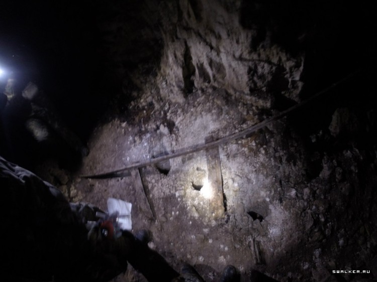 Партизанка