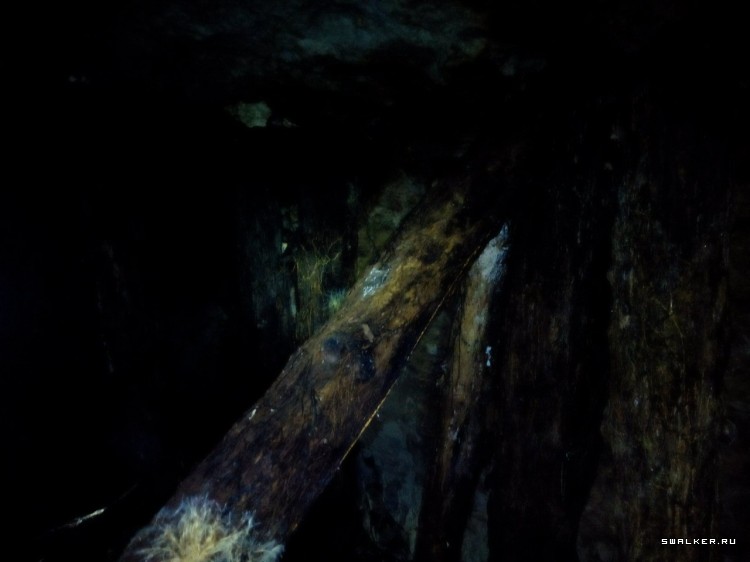 Партизанка