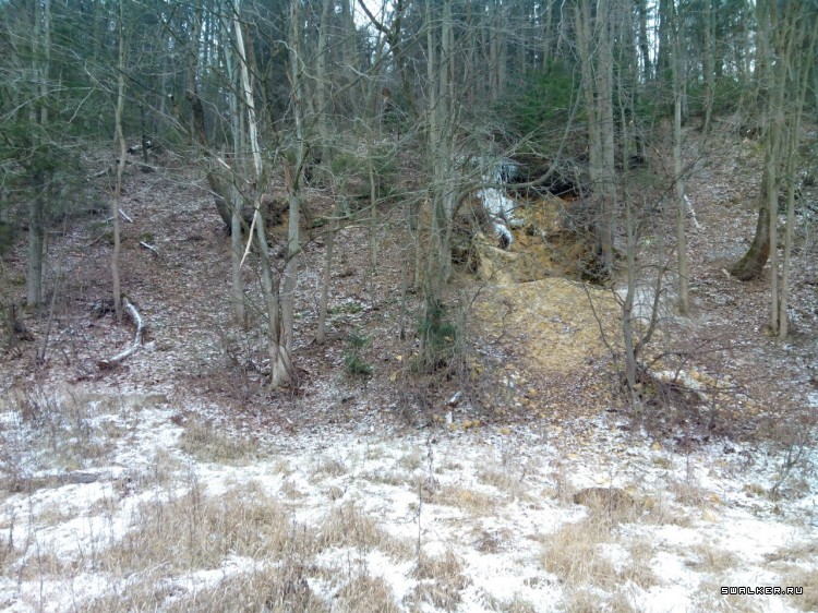 Партизанка