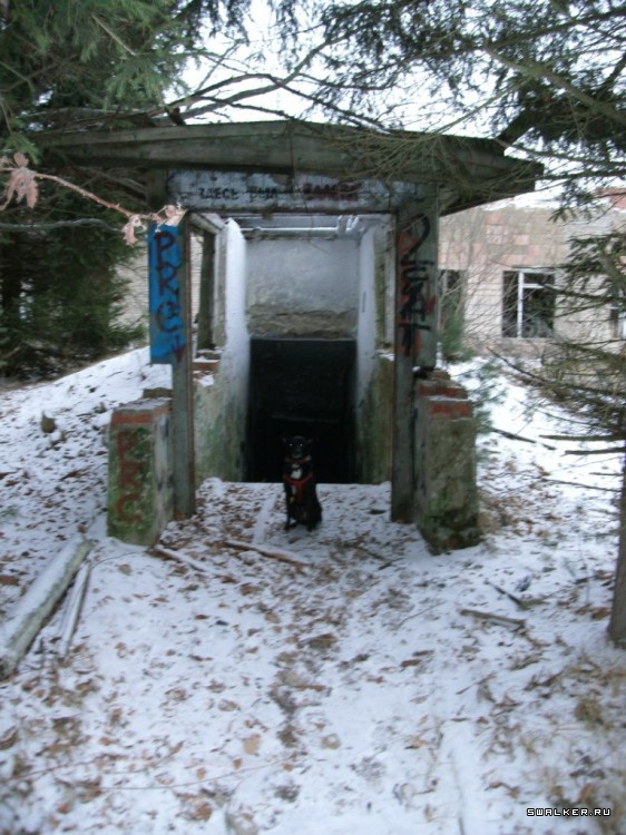 Детский санаторий "Солнышко" Детский санаторий "Солнышко"