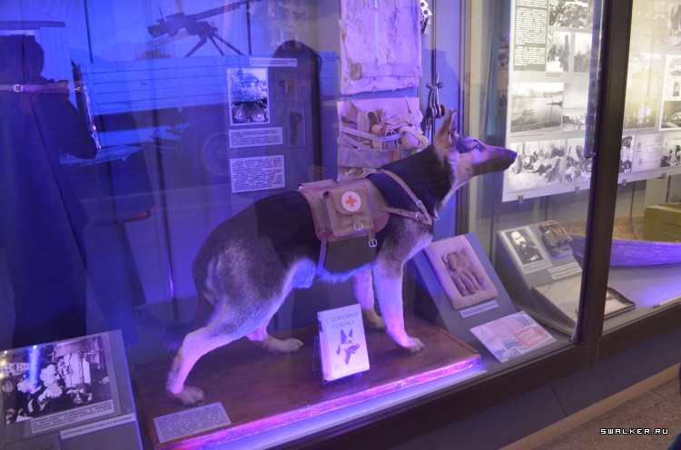 Центральный музей вооруженных сил РФ