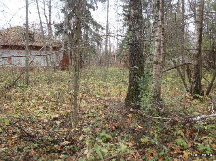 Лагерь Ракета и ...