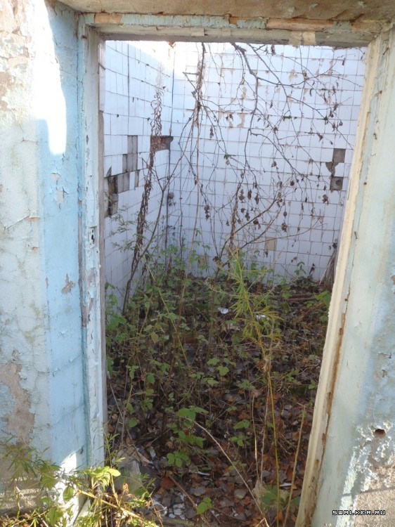 Лагерь Ракета и ...