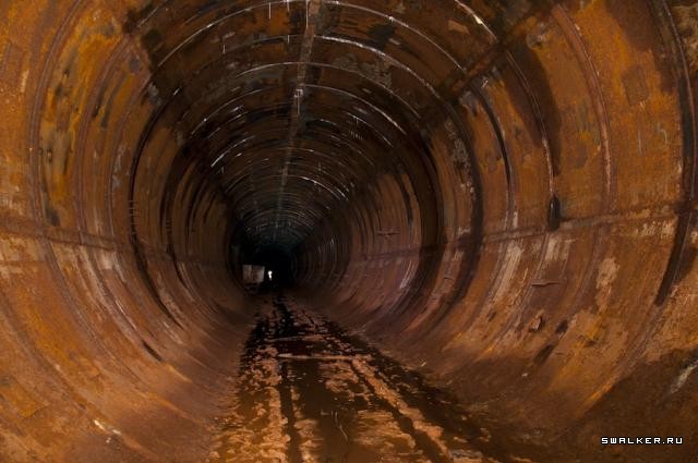 Заброшенное метро посреди леса