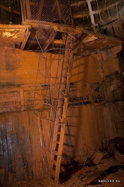 Заброшенное метро посреди леса