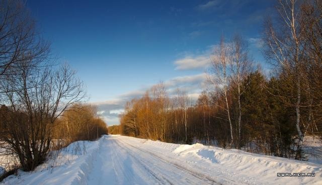 Заброшенное метро посреди леса
