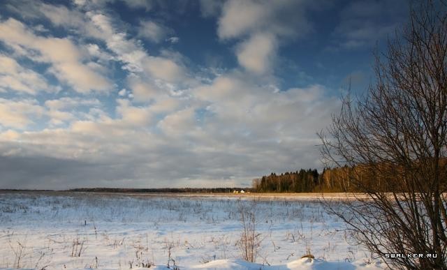 Заброшенное метро посреди леса