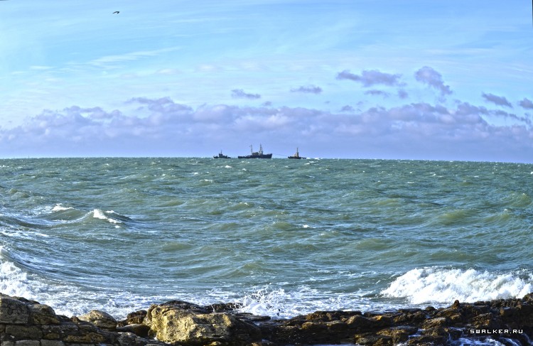 Зимний Херсонес. Крым. Севастополь Зимний Херсонес. Крым. Севастополь