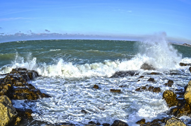 Зимний Херсонес. Крым. Севастополь Зимний Херсонес. Крым. Севастополь