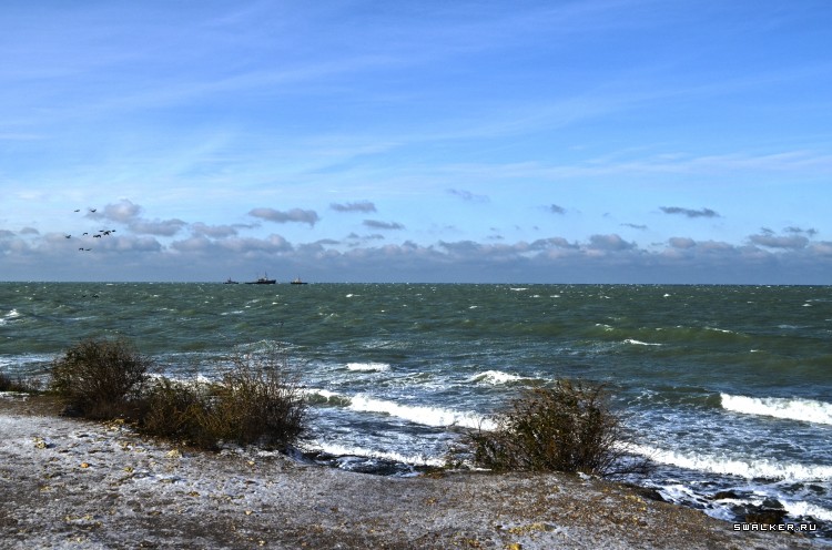 Зимний Херсонес. Крым. Севастополь Зимний Херсонес. Крым. Севастополь