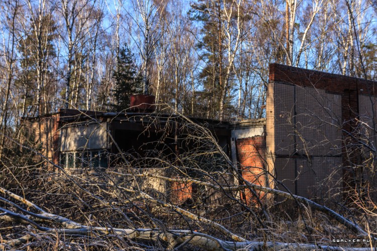 Пионерский Лагерь ЮНОСТЬ, Московская область