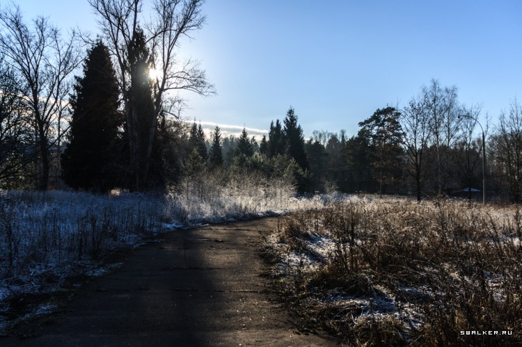 Пионерский Лагерь ЮНОСТЬ, Московская область