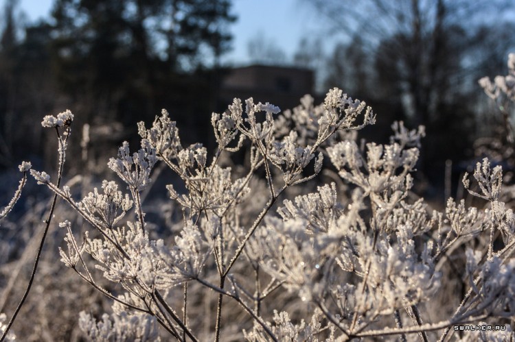 Пионерский Лагерь ЮНОСТЬ, Московская область