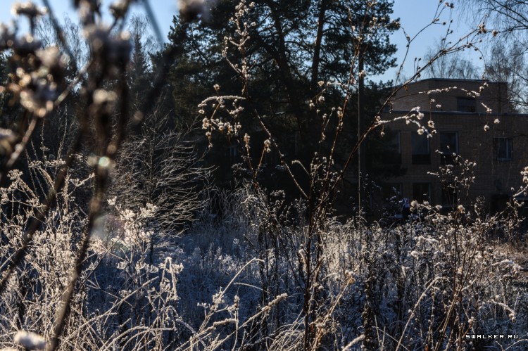 Пионерский Лагерь ЮНОСТЬ, Московская область