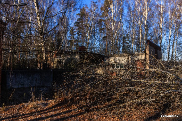 Пионерский Лагерь ЮНОСТЬ, Московская область