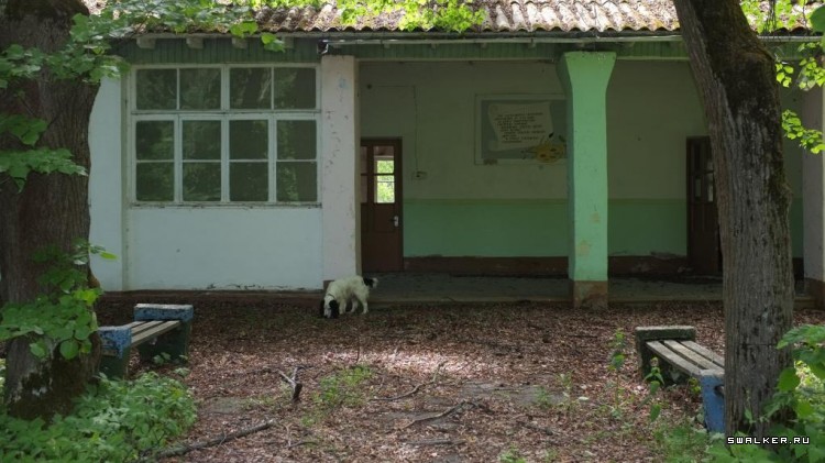 Пионерский лагерь Приокские Зори, Тульская область