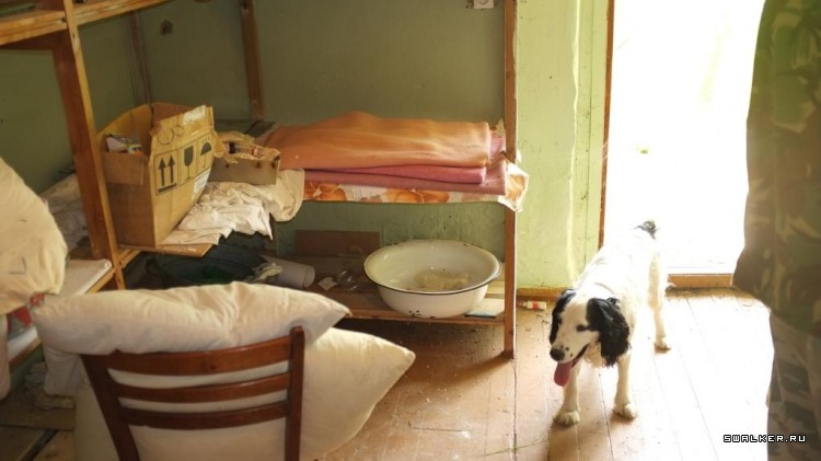 Пионерский лагерь Приокские Зори, Тульская область