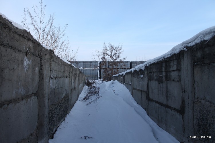 Омский бомбарь, Курган