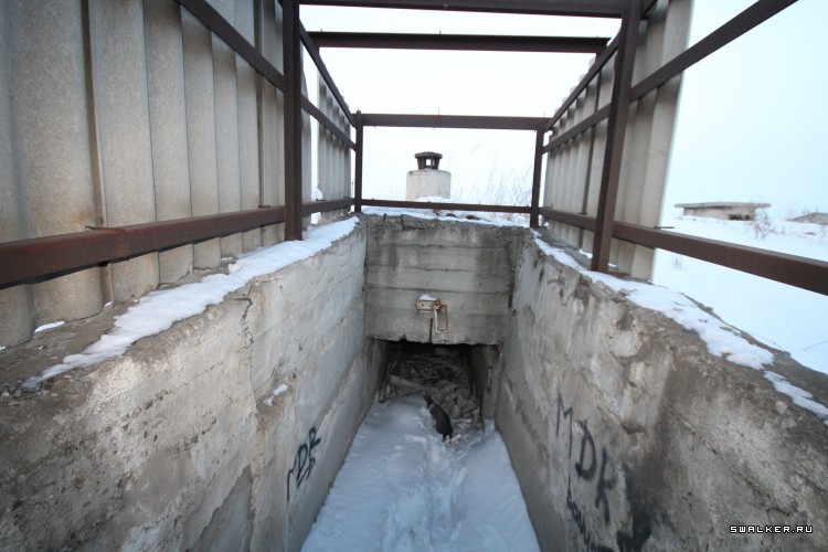 Омский бомбарь, Курган