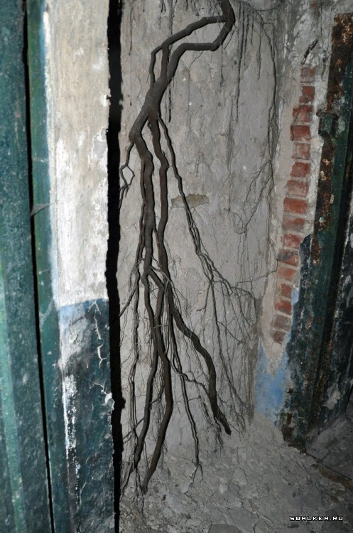 Азовский рыбзавод, Часть 1