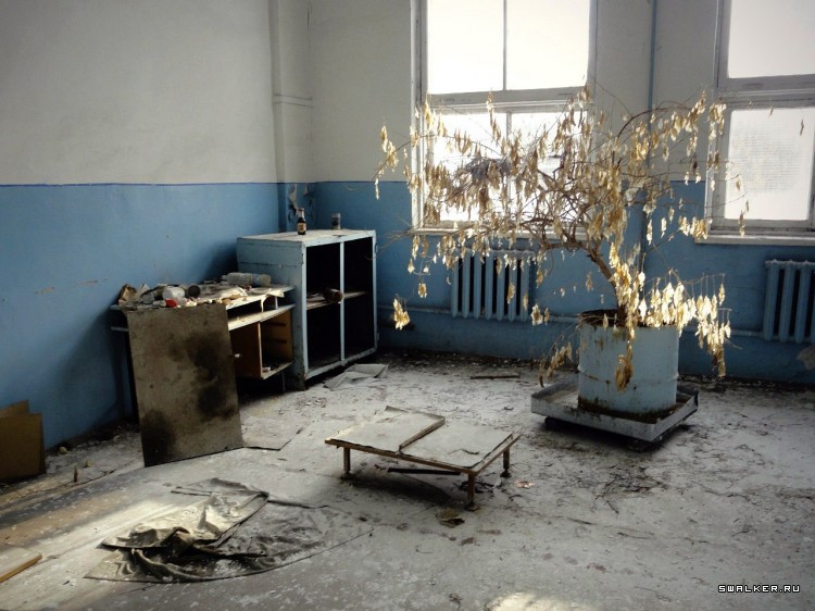 Азовский рыбзавод, Часть 2