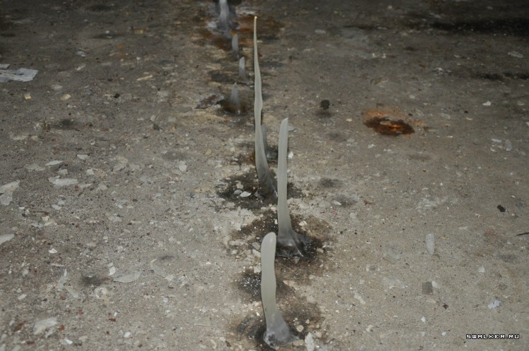 Азовский рыбзавод, Часть 3