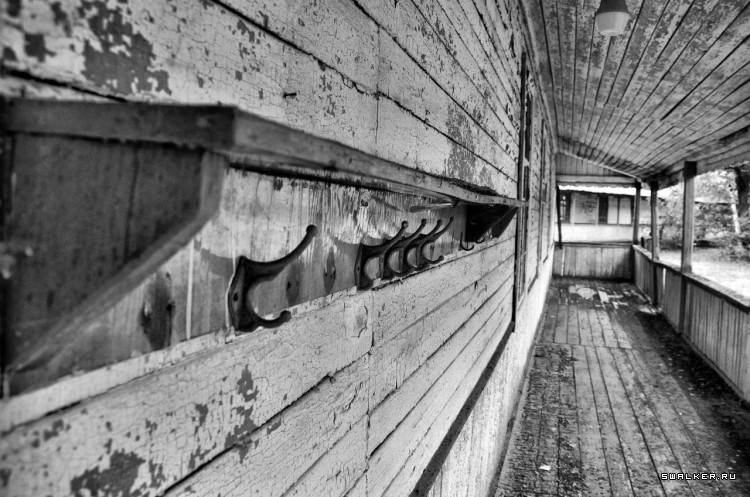 Пионер лагерь БЕРЕЗКА