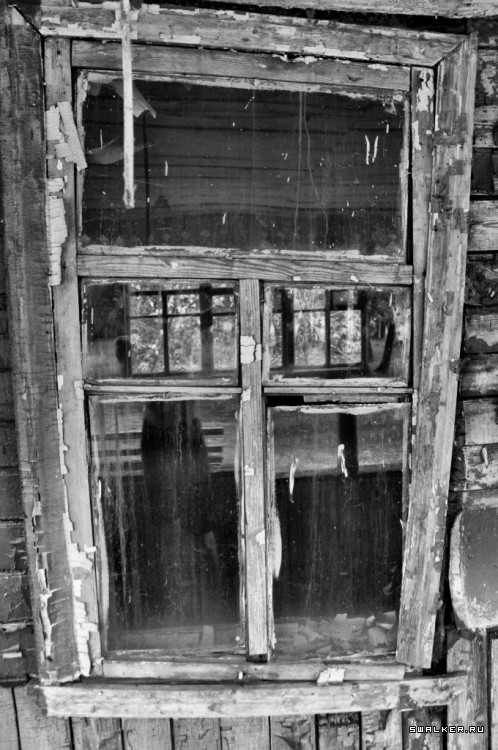 Пионер лагерь БЕРЕЗКА