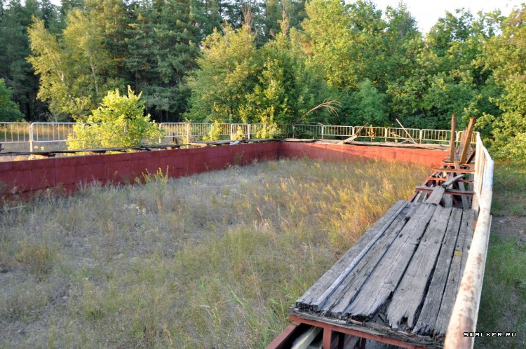 Пионер лагерь БЕРЕЗКА