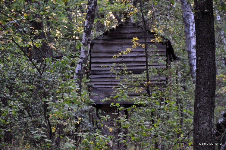 Пионер лагерь БЕРЕЗКА