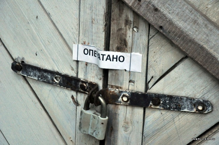 Пионер лагерь БЕРЕЗКА