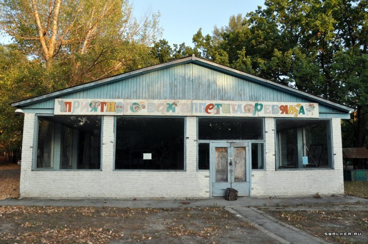 Пионер лагерь БЕРЕЗКА