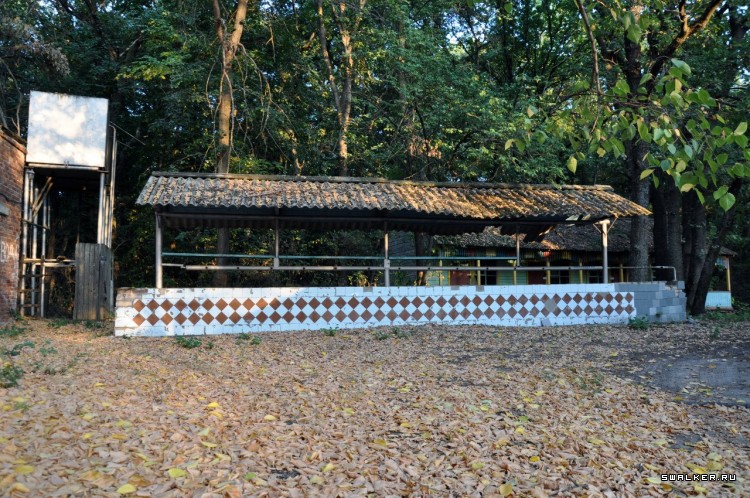 Пионер лагерь БЕРЕЗКА