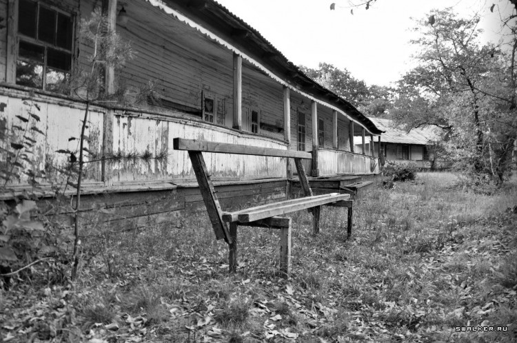 Пионер лагерь БЕРЕЗКА