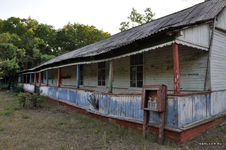 Пионер лагерь БЕРЕЗКА