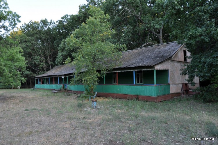 Пионер лагерь БЕРЕЗКА